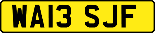 WA13SJF
