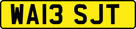 WA13SJT