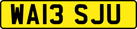 WA13SJU