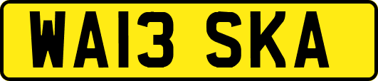 WA13SKA