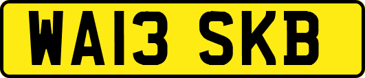 WA13SKB