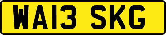 WA13SKG