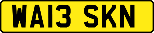 WA13SKN