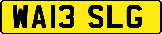 WA13SLG