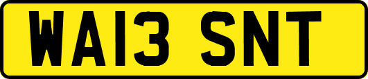 WA13SNT