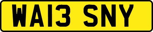 WA13SNY
