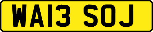 WA13SOJ