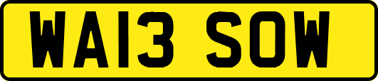 WA13SOW