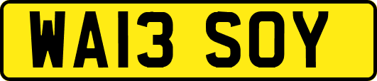 WA13SOY