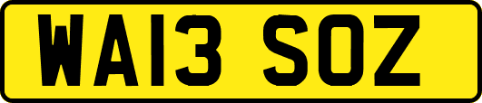 WA13SOZ