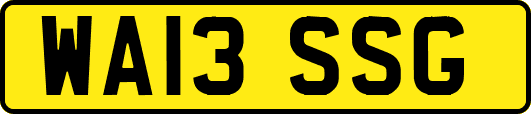 WA13SSG