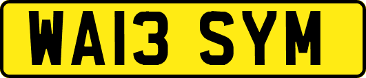 WA13SYM