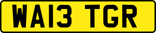 WA13TGR