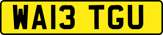 WA13TGU