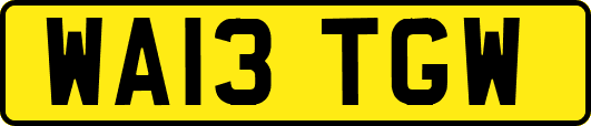 WA13TGW