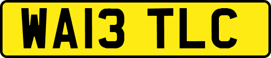 WA13TLC