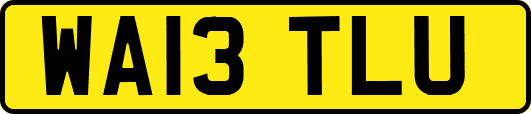 WA13TLU