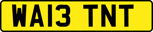 WA13TNT