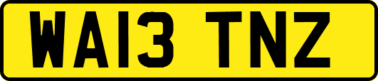 WA13TNZ