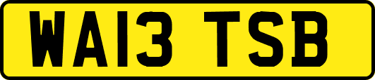 WA13TSB