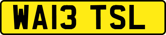 WA13TSL