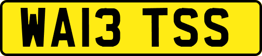 WA13TSS