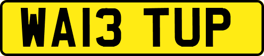 WA13TUP
