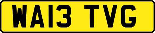 WA13TVG