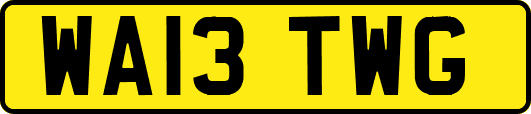 WA13TWG