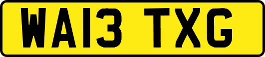 WA13TXG