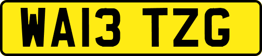 WA13TZG