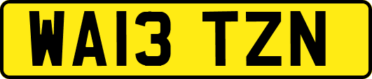WA13TZN