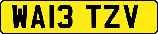 WA13TZV