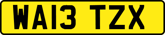 WA13TZX