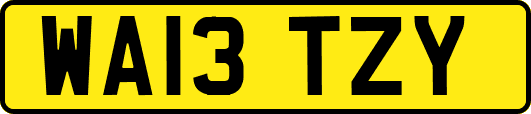 WA13TZY