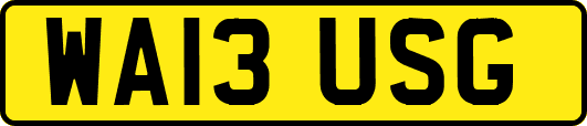 WA13USG