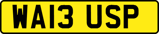 WA13USP