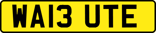WA13UTE