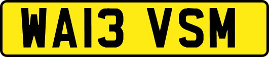 WA13VSM