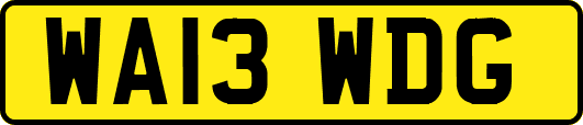 WA13WDG