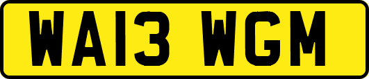 WA13WGM