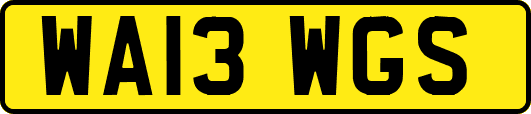 WA13WGS