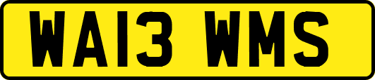 WA13WMS