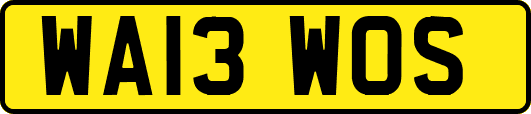 WA13WOS