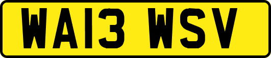 WA13WSV