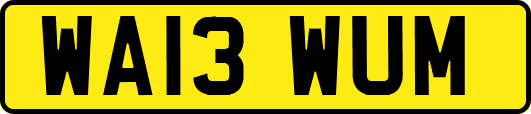 WA13WUM
