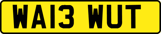 WA13WUT