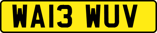 WA13WUV