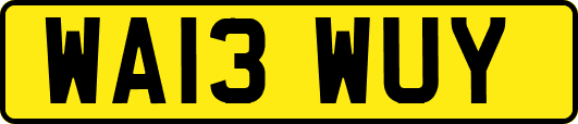WA13WUY