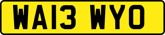 WA13WYO
